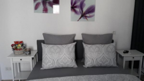 Moderm Basement Apartment